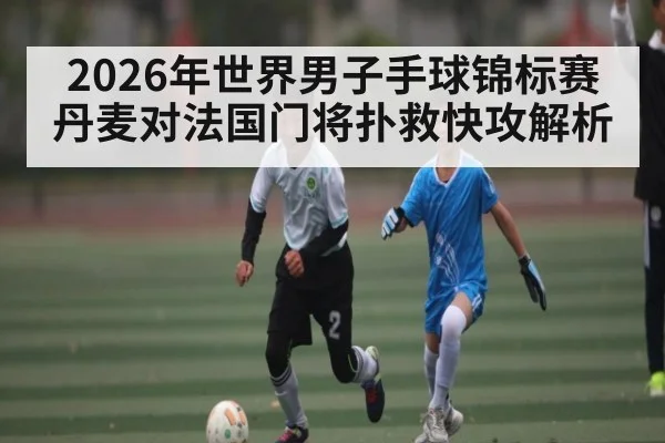 2026年世界男子手球锦标赛丹麦对法国门将扑救快攻解析